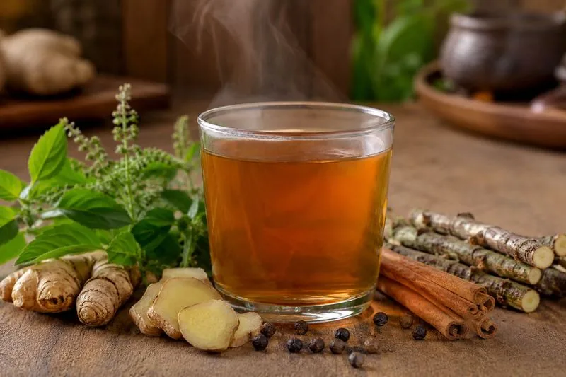 Tulsi Ganga Kadha — Nourishya Sattvic Dining